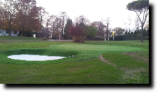 PITCHING GREEN