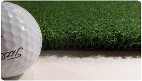 REAL PUTT PRO